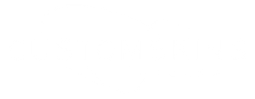 Customskins